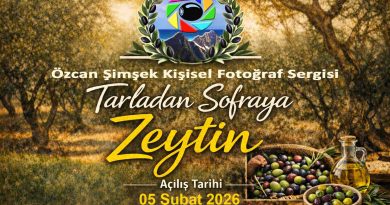 zeytin sergi